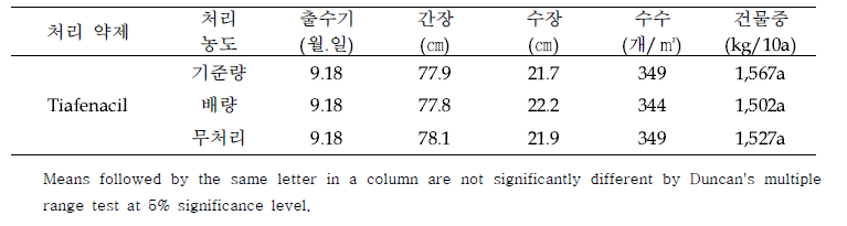 Tiafenacil SC 처리에 따른 사료벼(영우) 생육 및 약해 평가(2021년)