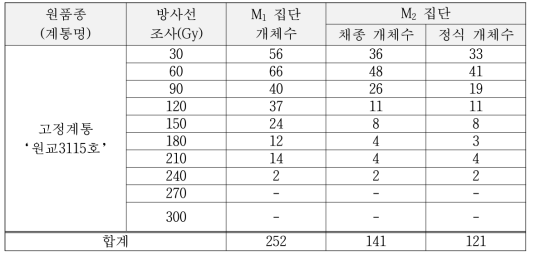 방사선 조사에 따른 8배체 고정계통 ‘원교3115호’의 M2 돌연변이 집단