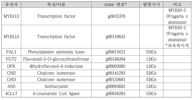 딸기 과색 관련 후보유전자 정보