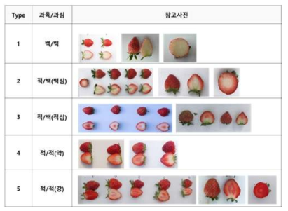 딸기 과육/과심 type별 분류