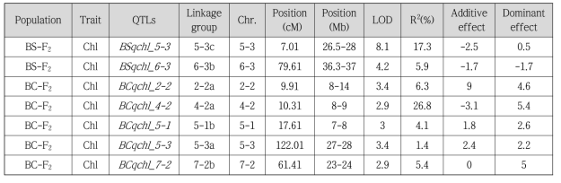 엽록소 함량에 따른 BS 및 BC F2 집단 QTL 분석