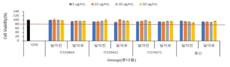 콩나물 콩 추출물에 대한 C3H10T1/2 세포의 세포 생존율