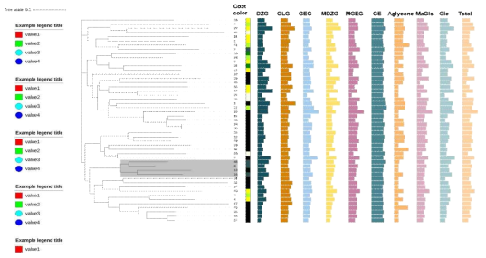 Phylogenetic tree와 해당 이소플라본의 함량 그래프. Coat color 막대는 종피색을 나타냄