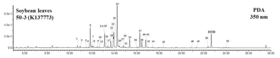 K137773(이소플라본 우수) 잎의 플라보노이드 39종 크로마토그램(특이자원)