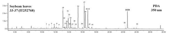 IT252768(유명재래종, 약콩) 잎의 플라보노이드 34종 크로마토그램