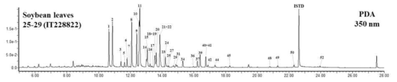 IT228822(유명재래종, 약콩) 잎의 플라보노이드 44종 크로마토그램(대표)