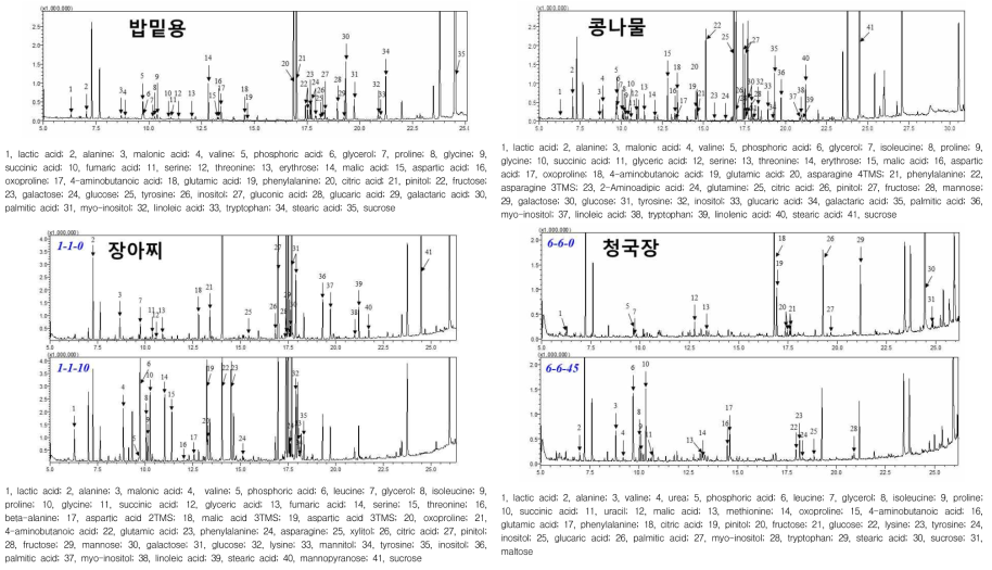 콩 부위별 가공방법에 따른 GC 크로마토그램