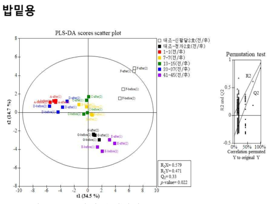 콩 종자 가공(증자)에 따른 PLS-DA scores scatter plot