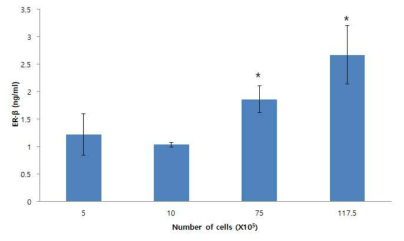 MCF-7의 세포수에 따른 에스트로겐 수용체-β 함량