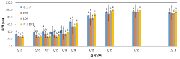 비가림재배 논벼 생육기간 초장 변화