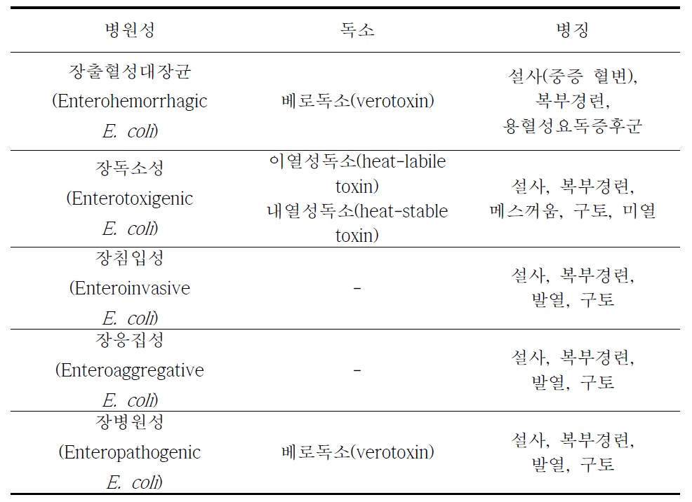 병원성대장균의 병원성 종류 및 특징