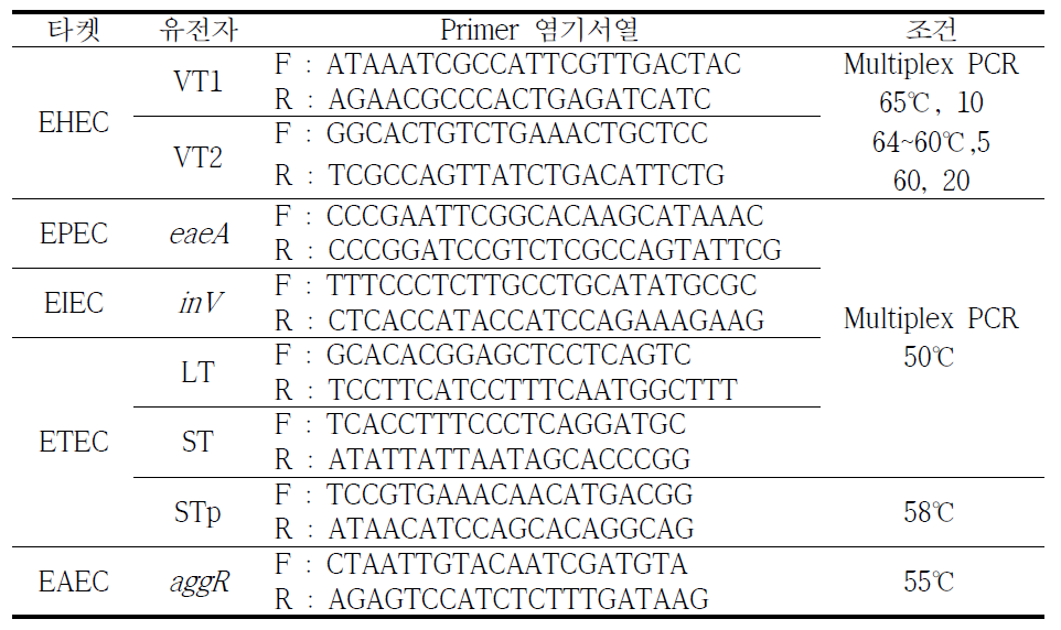 병원성대장균 분석을 위한 Primer 염기서열 및 PCR 조건