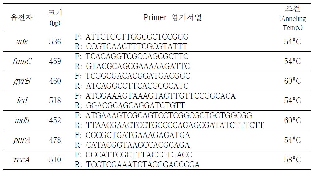 대장균 MLST 분석을 위한 Primer 염기서열 및 PCR 조건