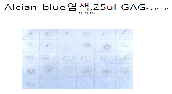 당분석에 사용된 시료들의 글라이코사미노글라이칸 미량 함유 정도를 alcian blue로 정성 파악