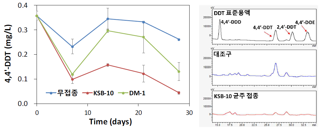 KSB-10 균주와 DM-1 균주를 0.5 mg/L의 DDT가 포함된 배지에 접종 후 시간에 따른 배지 내 DDT 농도 변화 및 28시간 후 대조구 및 KSB-10 균주 시료의 HPLC chromatogram