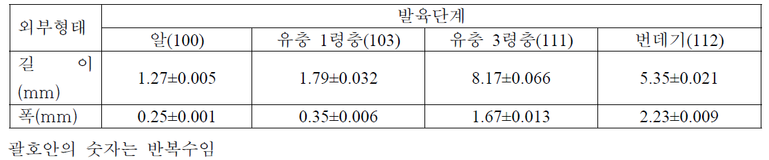 오이과실파리 알, 유충, 번데기의 외부 형태적 특징