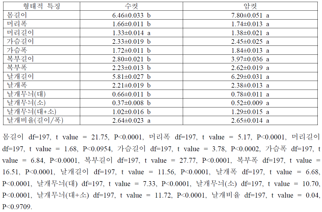 오이과실파리 성충의 외부 형태적 특징