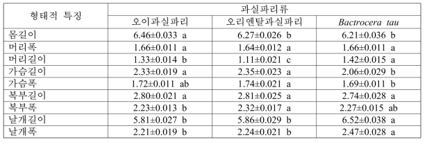 주요 과실파리 3종 수컷 성충의 외부 형태적 특징