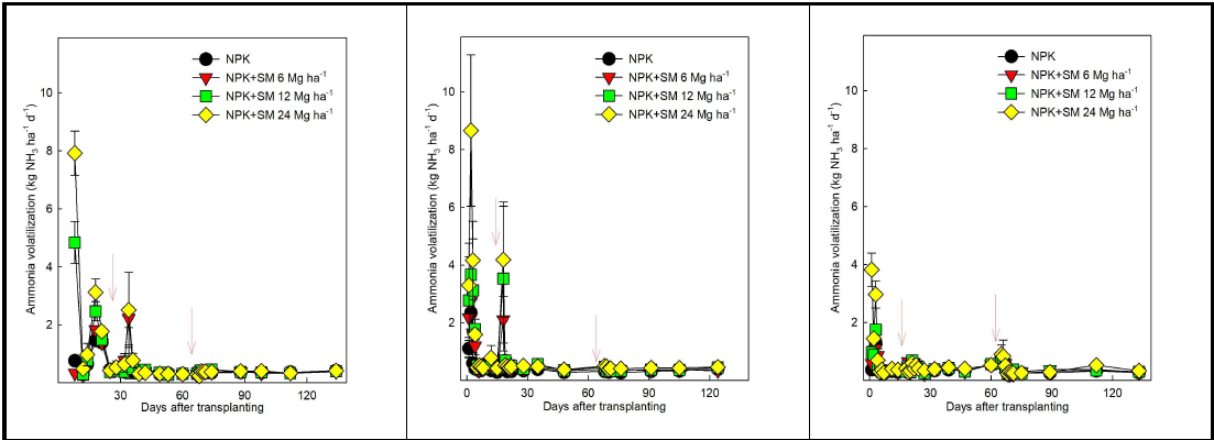 벼 재배기간 중 암모니아 배출 특성. 2019년(좌), 2020년(중), 2021년(우): 호남(순천)