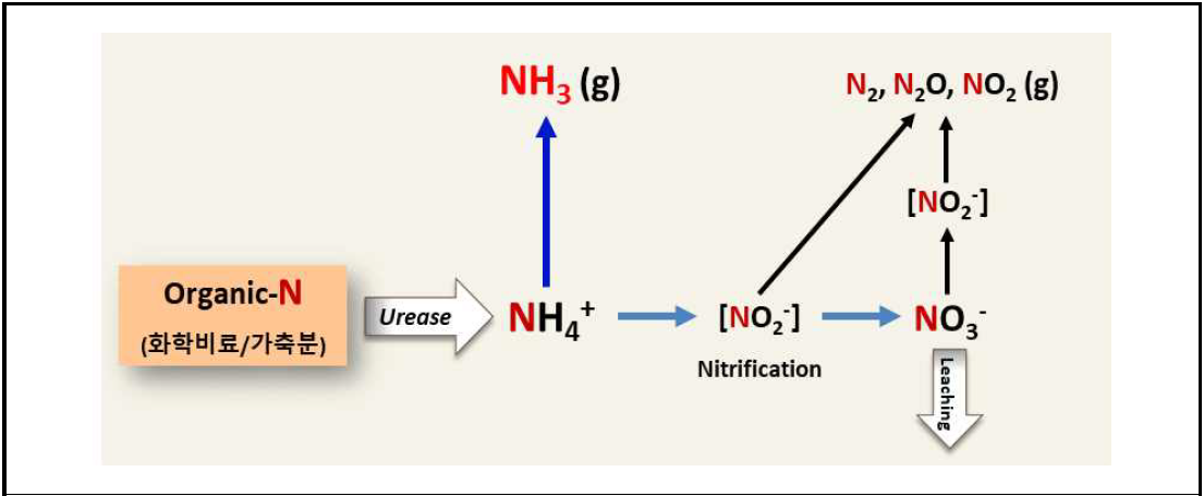 토양에서 질소의 순환과정(Groenigen et al., 2015)