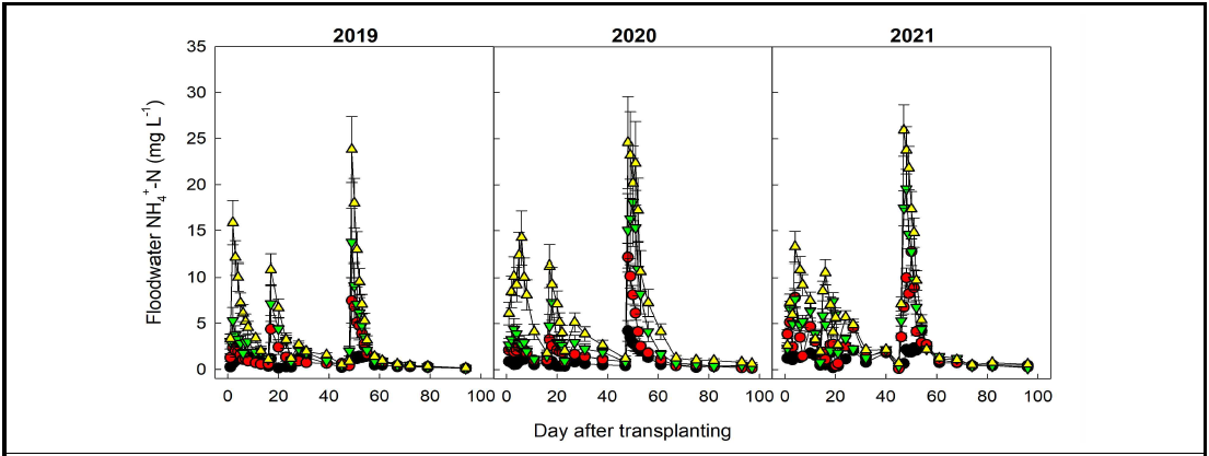 벼 재배기간 중 관개수 NH4+-N 함량 변화(영남지역)