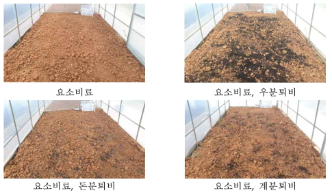 요소비료, 가축분퇴비 종류별 처리후 전경