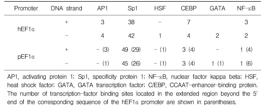 사람 hEF1a 프로모터와 비교한 돼지 pEF1a 프로모터 영역의 잠재적인 전사인자결합 부위(Putative transcription-factor binding sites) 분석