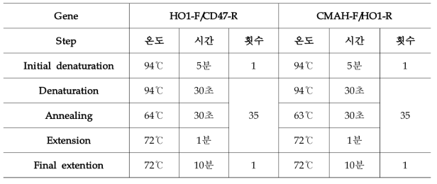 유전자 분석을 위한 PCR 조건