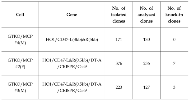 GTKO/MCP+CMAHKO/HO1/CD47 형질전환 체세포주 선별을 위한 PCR 분석