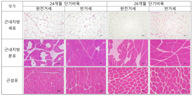 한우 24개월 및 26개월 단기비육시 거세방법에 따른 등심 절편 사진