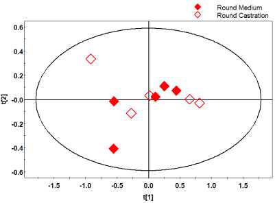 우둔육의 PCA Score plot