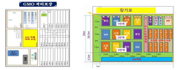 전주 LMO 격리 포장 비타민A 강화콩과 해충저항성 GM면화의 포장 배치도 및 조성