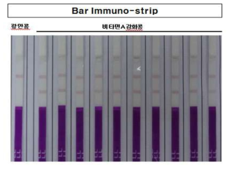 2019년 비타민A 강화콩 Bar Immuno-strip 검정