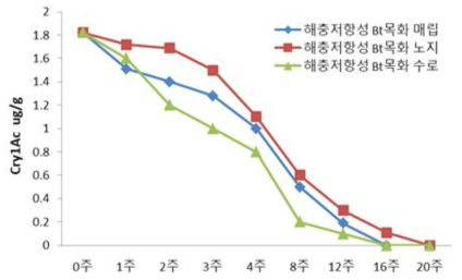 해충저항성 GM면화의 환경 방출 조건에 따른 도입 유전자 발현도