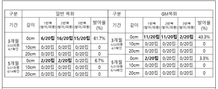 면화 매립종자의 발아율 조사