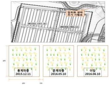 잡초화 생태조사 시험구 위치 및 배치