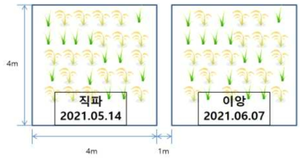 잡초화 생태조사 시험구 재배치