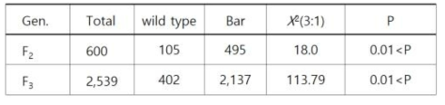 벼 교잡종자의 세대별 분리비 검정
