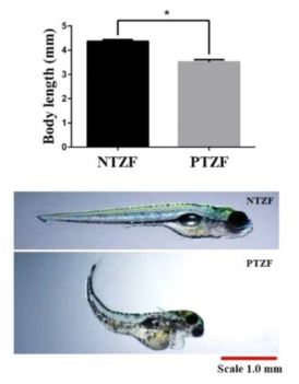 The graph represents the average body length at 144 hpf. Representative images show the body length at 144 hpf. NTZF, non-treated zebrafish; PTZF, phosmet-treated zebrafish. Scale = 1.0 mm. The results are mean SD (n = 4). Statistical significance was evaluated using an unpaired t-test. * (p < 0.001)