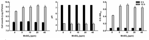 Change of the growth, pH and optimal density of 12Ⅲ in BHI broth(0.6% dextrose) added with different MnSO4 concentrations. *p<0.05 vs 0 ppm MnSO4 group