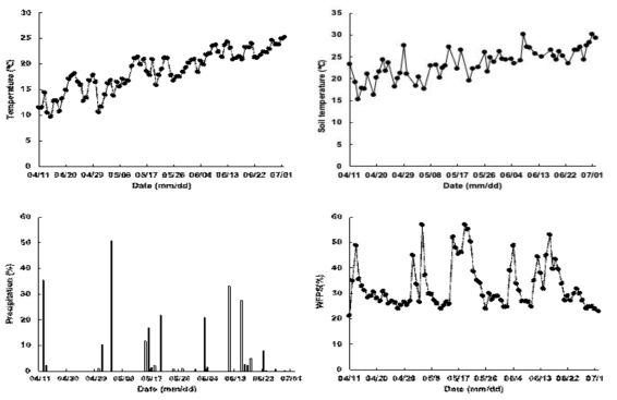 봄배추 재배기간 중 평균기온, 강수량, 토양온도 및 공극내 수분함량(WFPS)변화