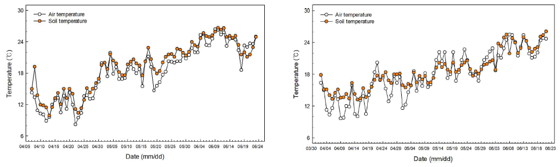 기온 및 토양온도