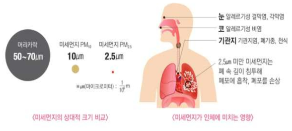 미세먼지가 인체에 미치는 영향