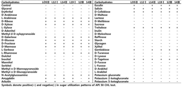 Carbohydrate utilization of the screened strains using API 50 CHL test