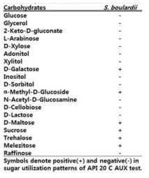 Carbohydrate utilization of the screened yeast using API 20 C AUX test