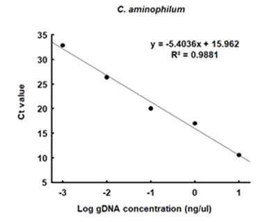 Linear correlation between the log of genomic DNA concentration and Ct values of C. aminophilum by using qPCR method