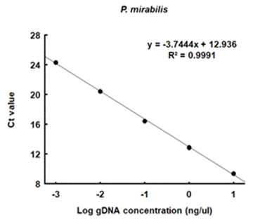 Linear correlation between the log of genomic DNA concentration and Ct values of P. mirabilis by using qPCR method