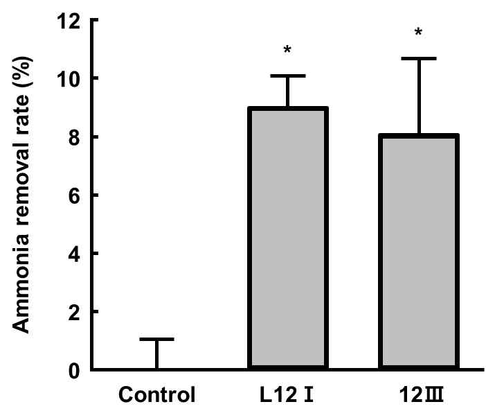 Ammonia removal rate of screened strains in the minimal medium. *p<0.05 vs CON