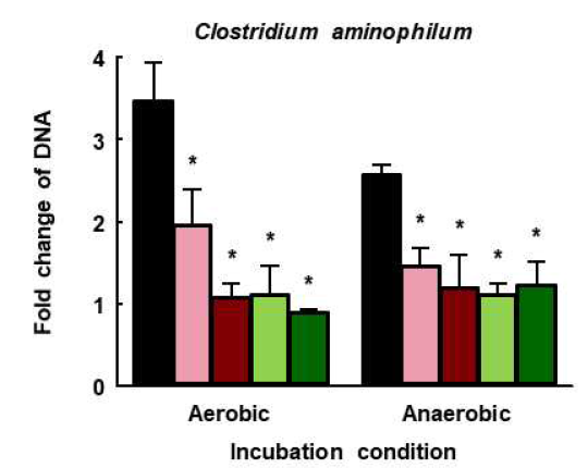 Real-time PCR analysis of DNA concentration change of C. aminophilum by treatment of strains. (A): low inoculation, (B): high inoculation. *p<0.05 vs CON