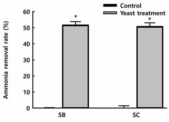 Ammonia removal rate of screened yeasts in the minimal medium. *p<0.05 vs CON